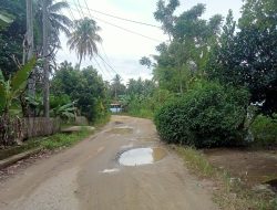 Jalan Penghubung Pasiang–Duampanua Rusak Parah, Kepala Desa Sudah Dua Kali Ajukan Permohonan ke Pemda